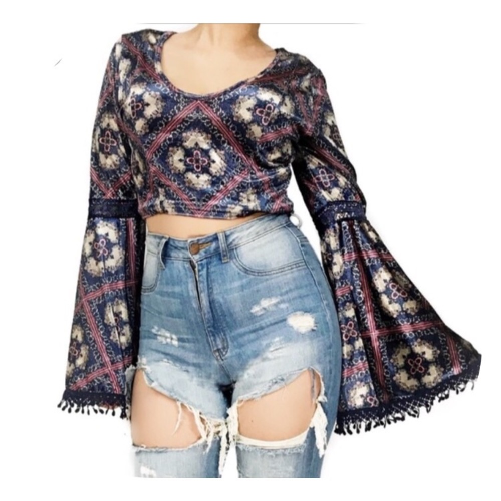 Band of Gypsies Velvet Crop